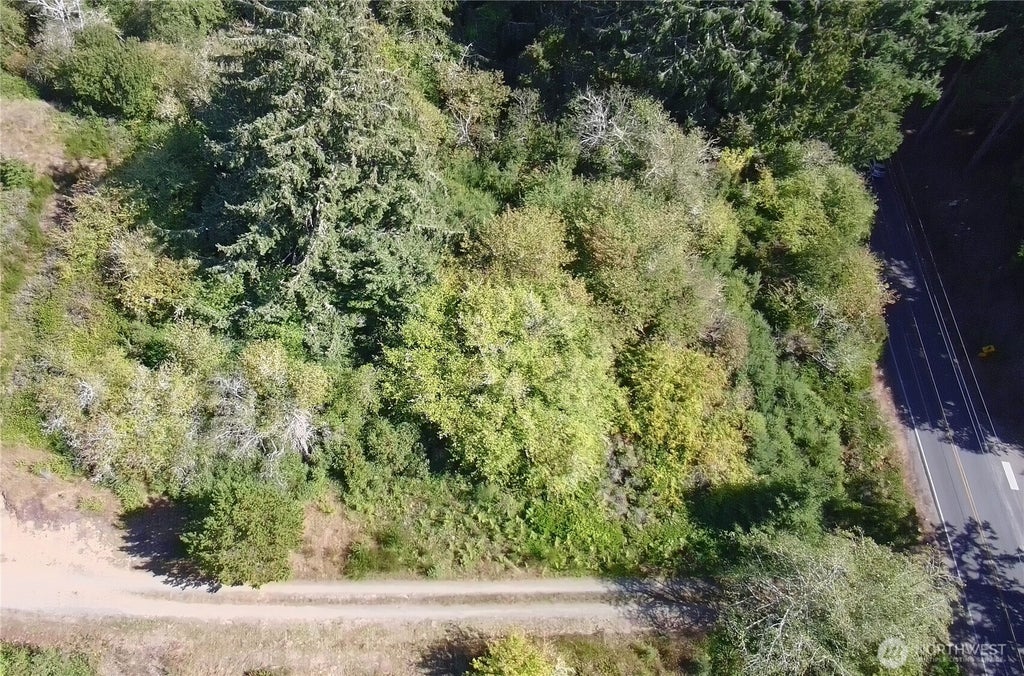 Photo of 0 Oysterville Road, Oysterville, WA 98641 (MLS # 2584202)