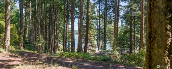 CAPTAIN LEISON LN, LOPEZ, WA 98261 - Image cf52345d09da571dcecd4d53afee5737/1320075149