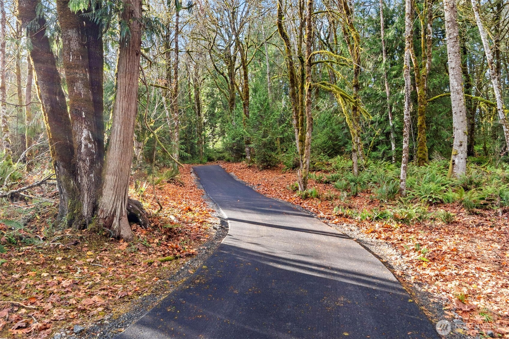 6301 Cooper Point Road NW