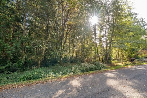 10611 Vantage Drive Anderson Island WA 98303