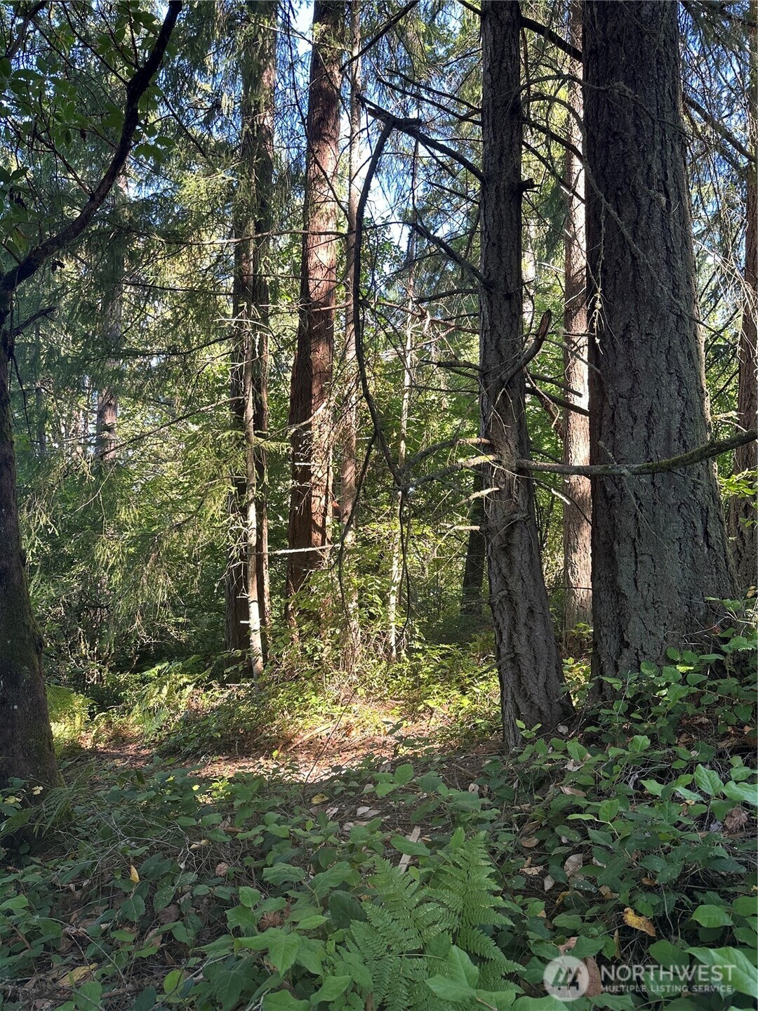0 Walnut Lane