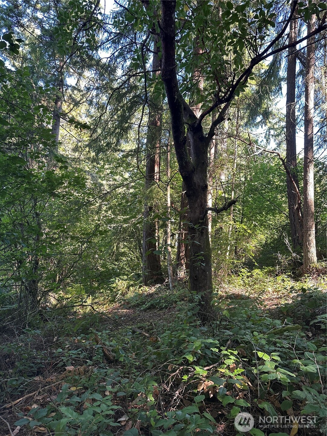 0 Walnut Lane