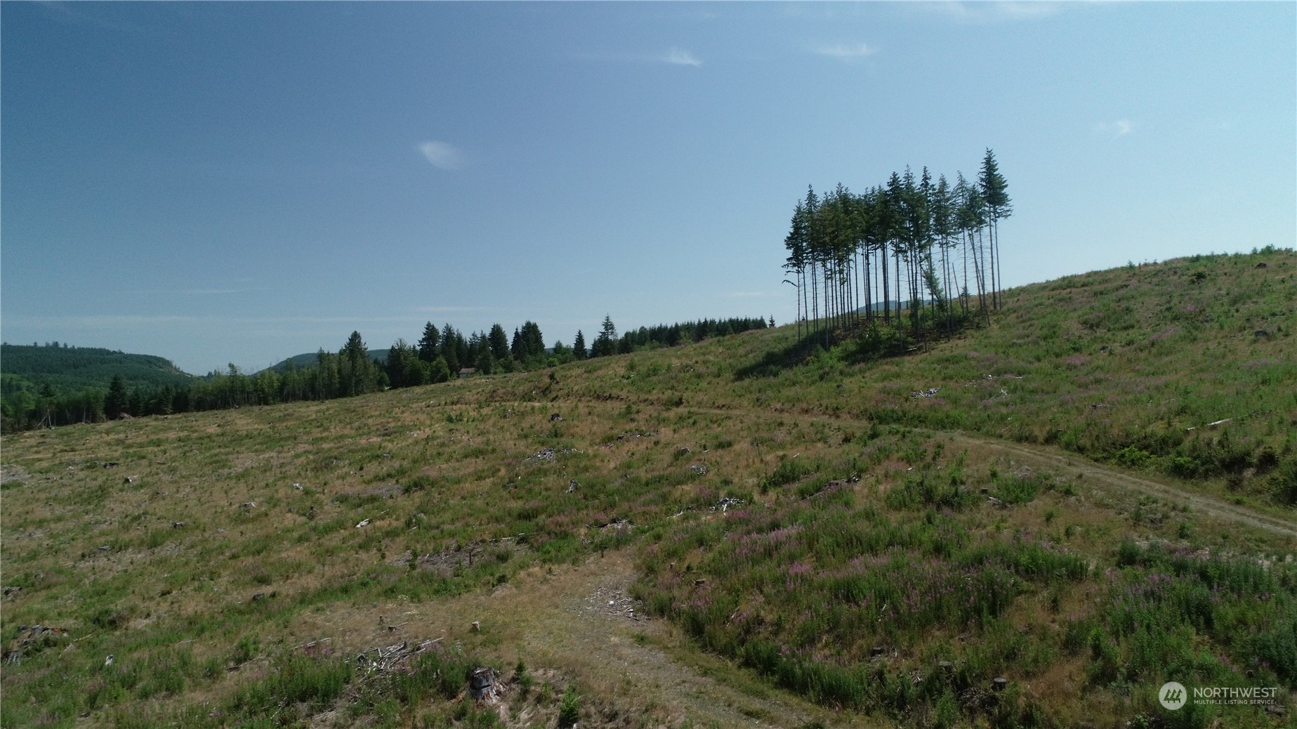 1068 Salmon Creek Rd