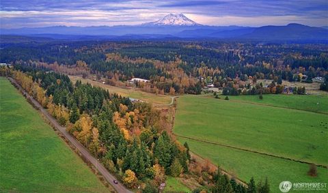 Photo of 19441 Cougar Mountain Airport Road SE, Yelm, WA 98597 (MLS # 2425547)