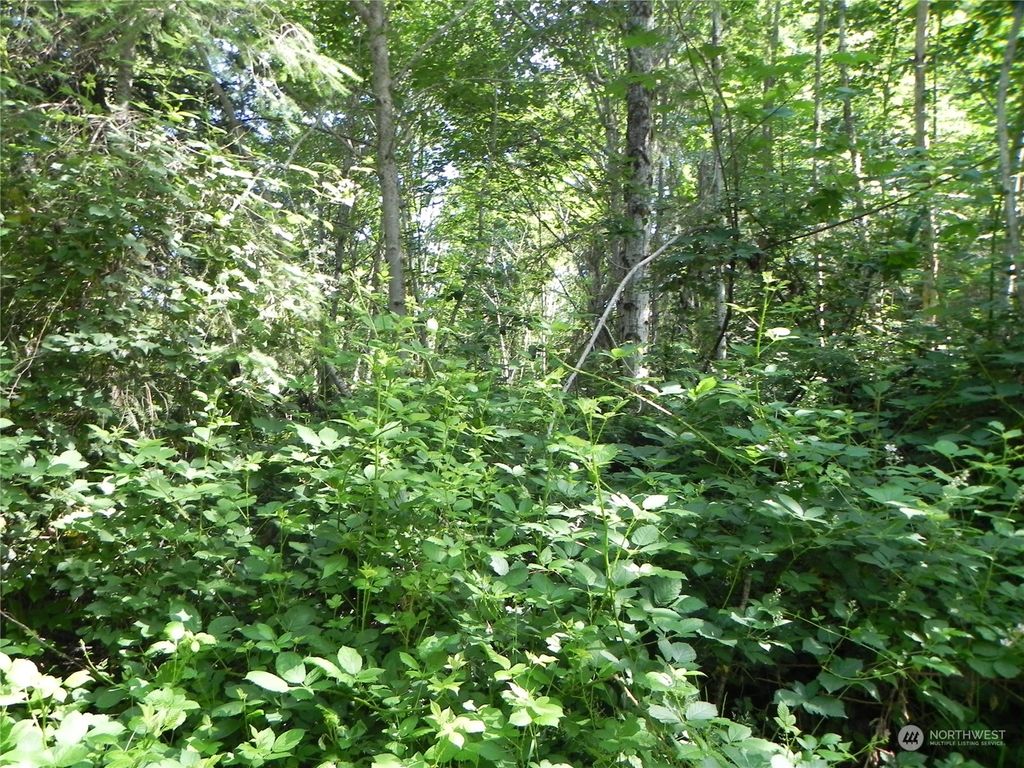 Photo of 347 xx NE 21st Way, Carnation, WA 98104 (MLS # 2161143)