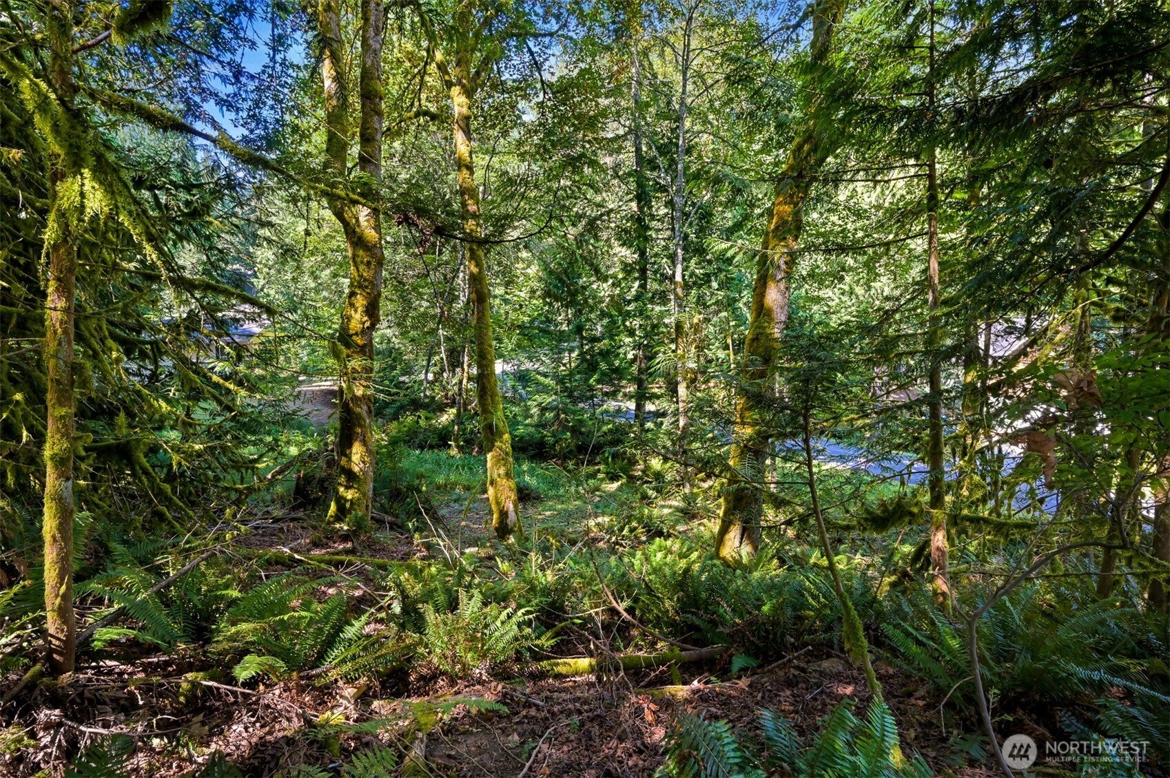 2 Indian Ridge Court