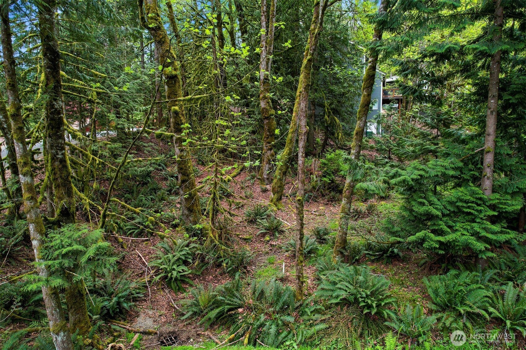2 Indian Ridge Court