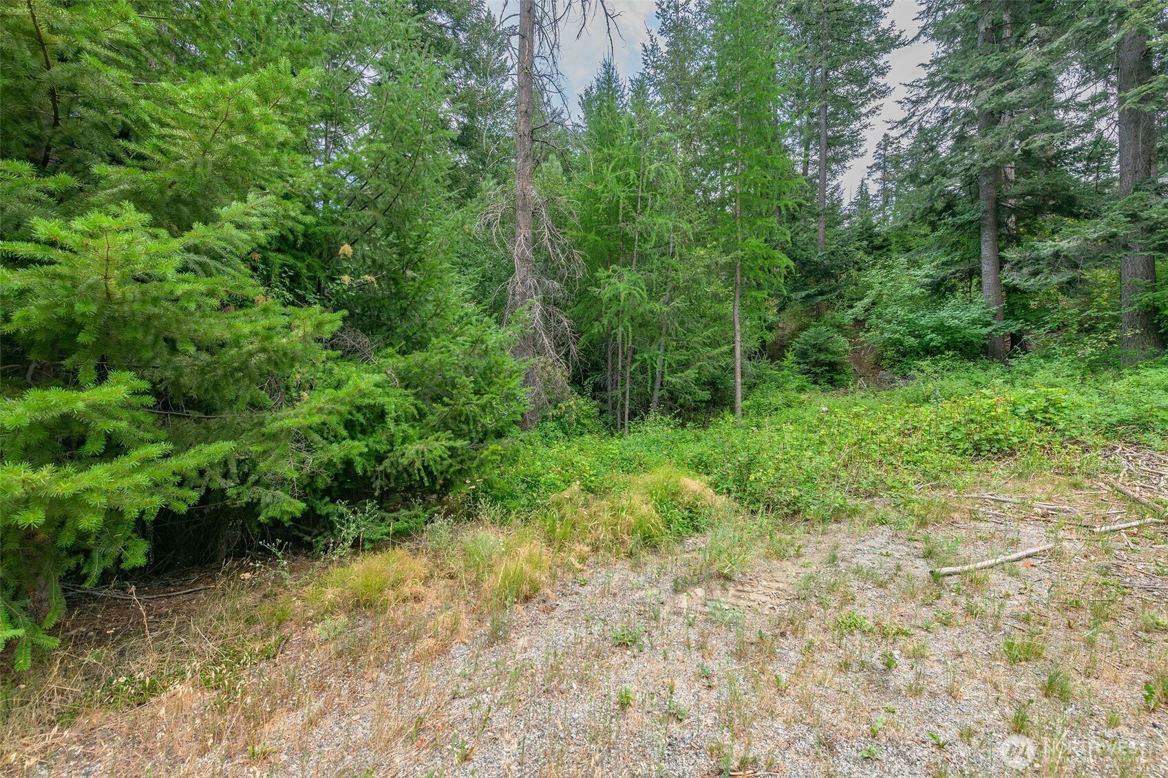 6409 Forest Ridge Drive