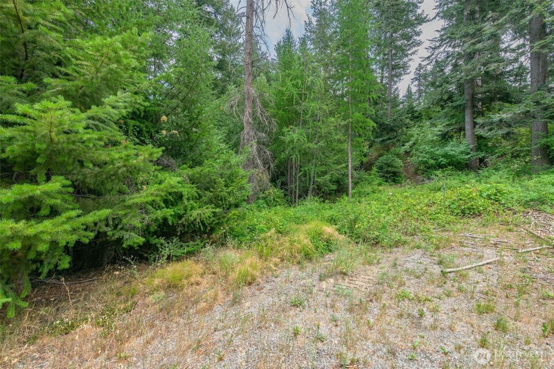 6409 Forest Ridge Drive
