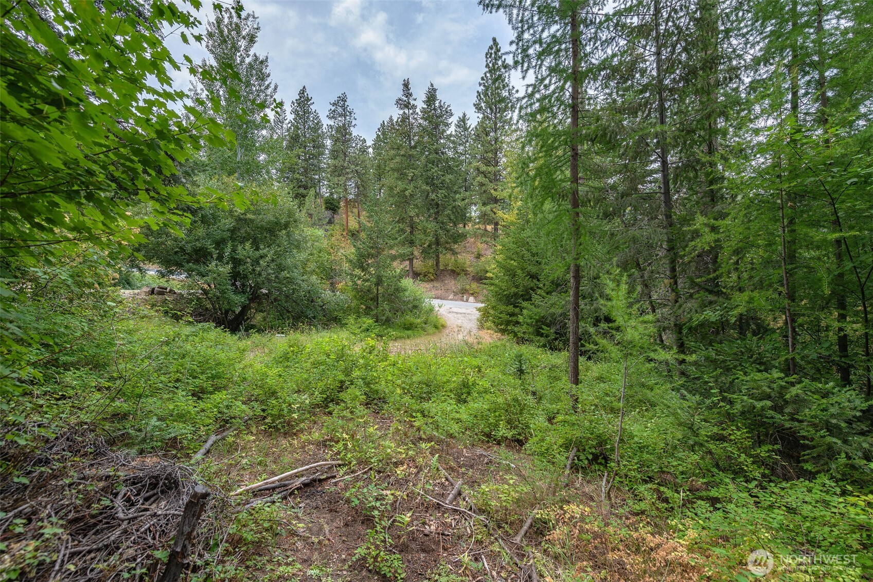 6409 Forest Ridge Drive