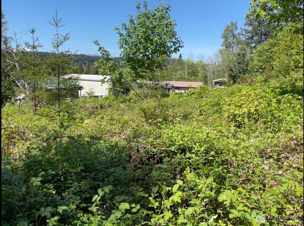 Photo of 0 LOT State Route 3, Belfair, WA 98528 (MLS # 2523721)