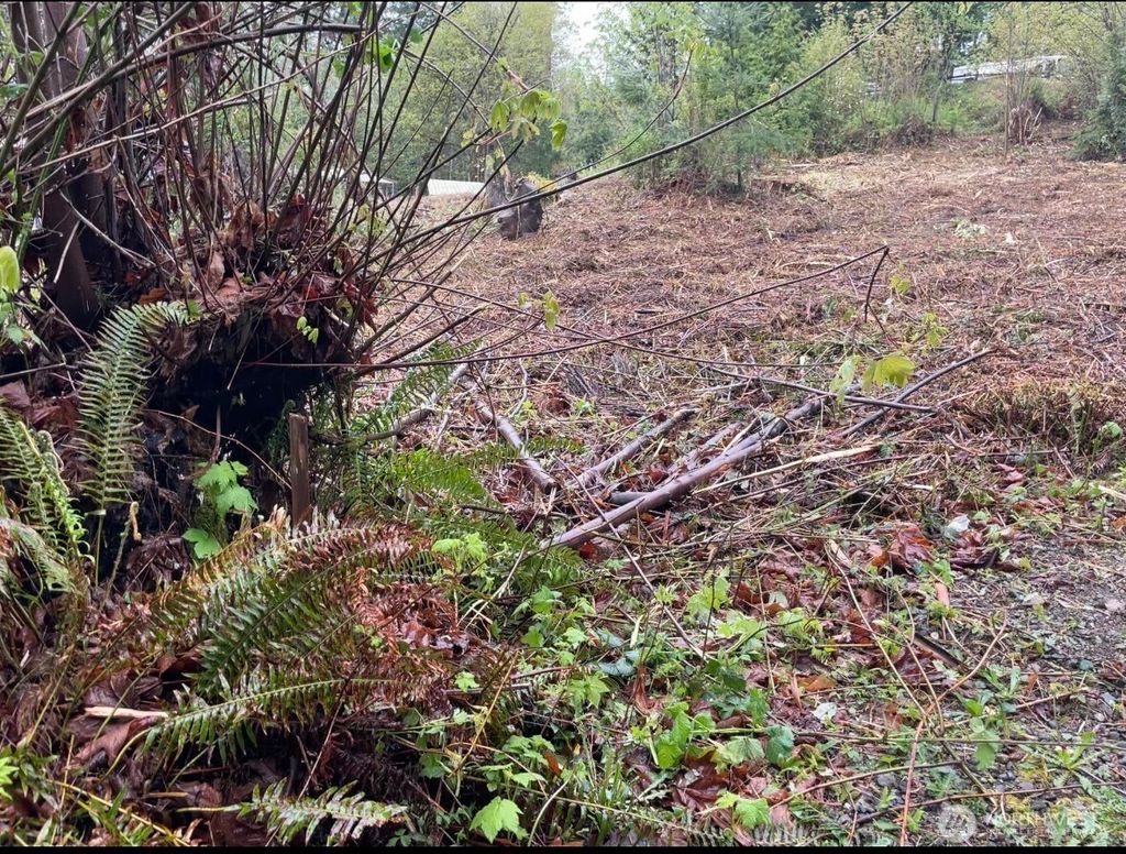 Photo of 0 LOT State Route 3, Belfair, WA 98528 (MLS # 2523721)