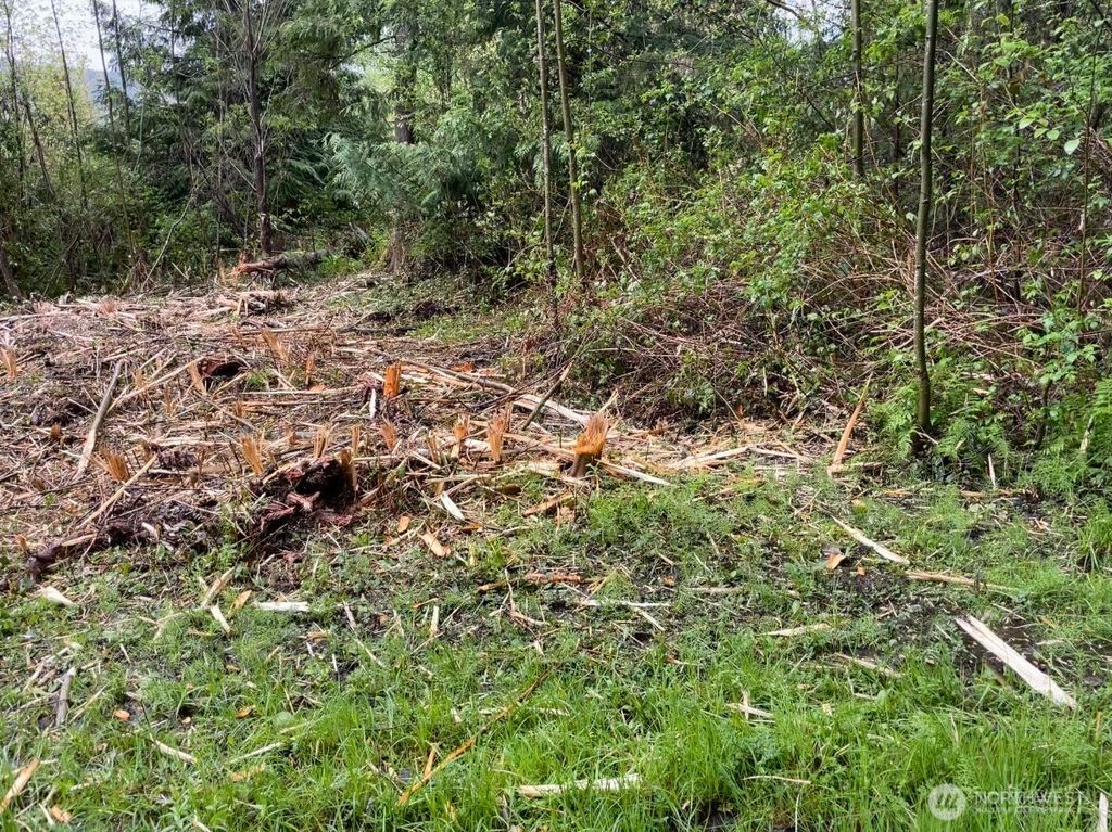 Photo of 0 LOT State Route 3, Belfair, WA 98528 (MLS # 2523721)