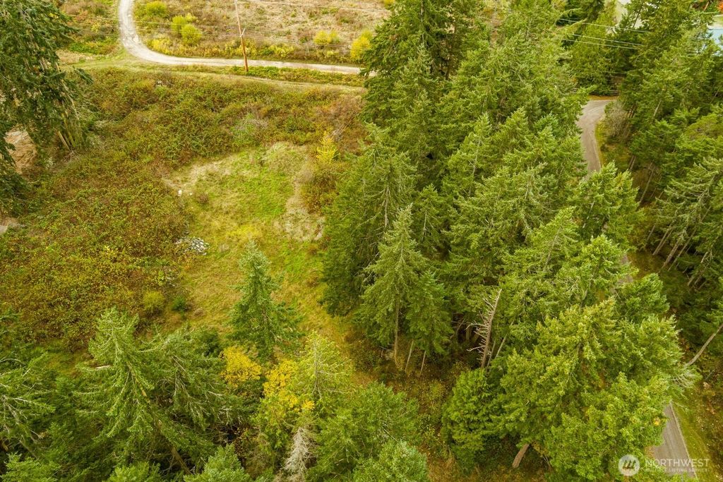 Photo of 0 Taylor Road, Oak Harbor, WA 98277 (MLS # 2467646)