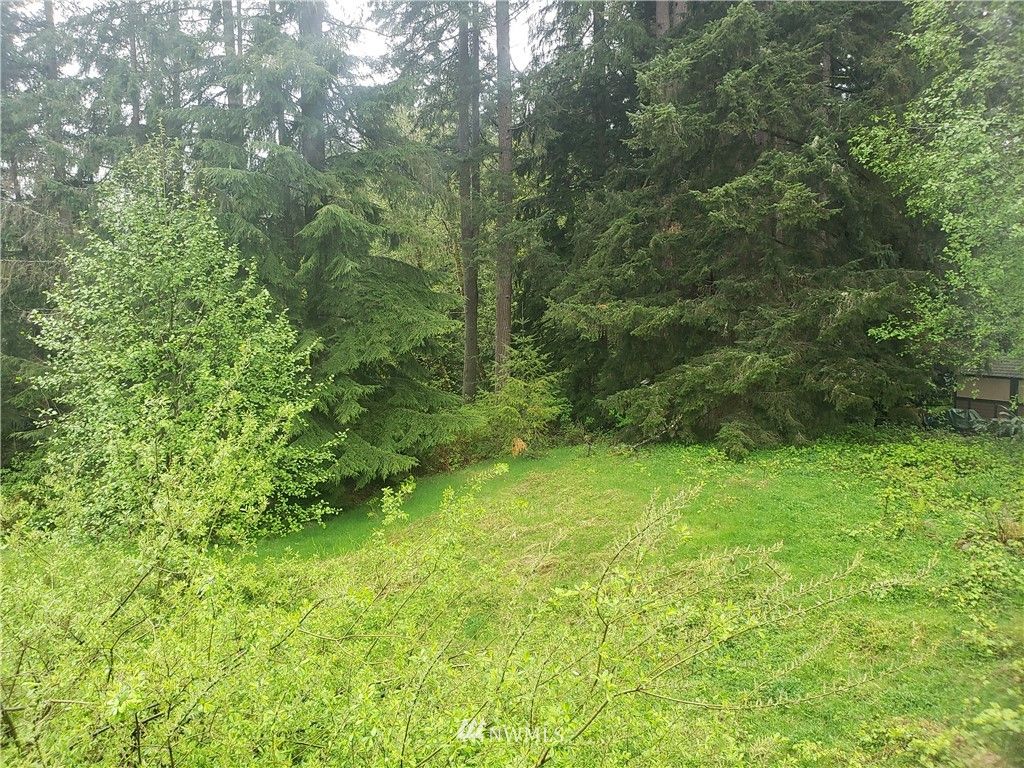 Photo of 32519 NE 195th Street, Duvall, WA 98019 (MLS # 1922573)