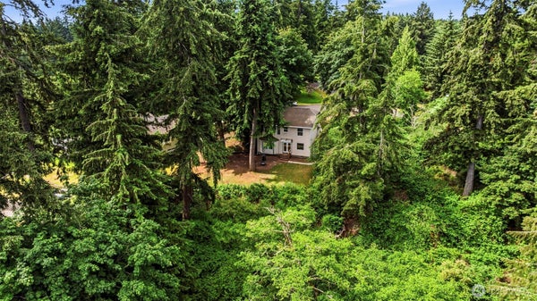 11209 RIVIERA DR, ANDERSON ISLAND, WA 98303 - Image d045e2f52a98fa461fa03e10d4c4994d/2125812899