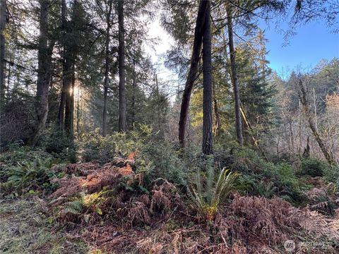 Photo of 9606 Otso Point Road, Anderson Island, WA 98303 (MLS # 2469616)