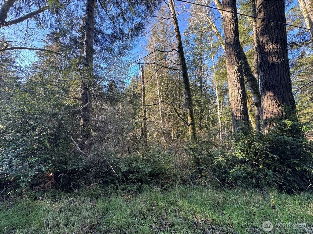 Photo of 9606 Otso Point Road, Anderson Island, WA 98303 (MLS # 2469616)