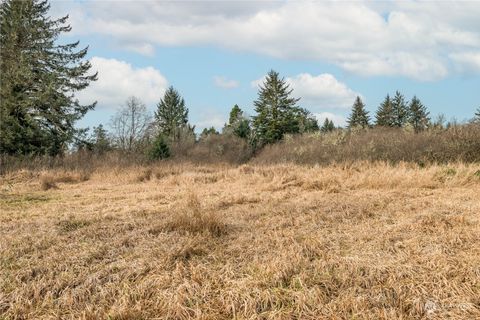 Photo of 2990 40th Street, Seaview, WA 98644 (MLS # 2316394)