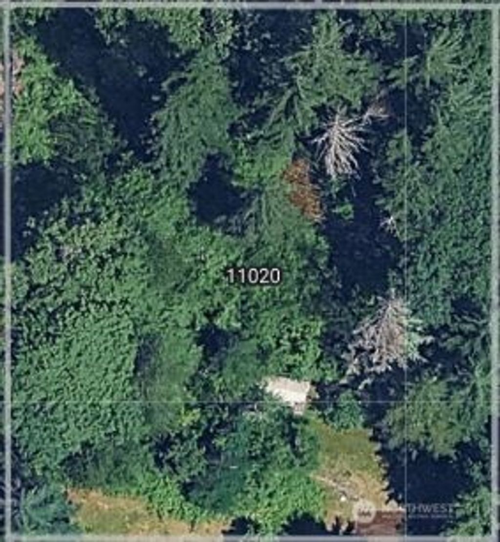 Photo of 11020 NE 108th Street, Kirkland, WA 98033 (MLS # 2508965)