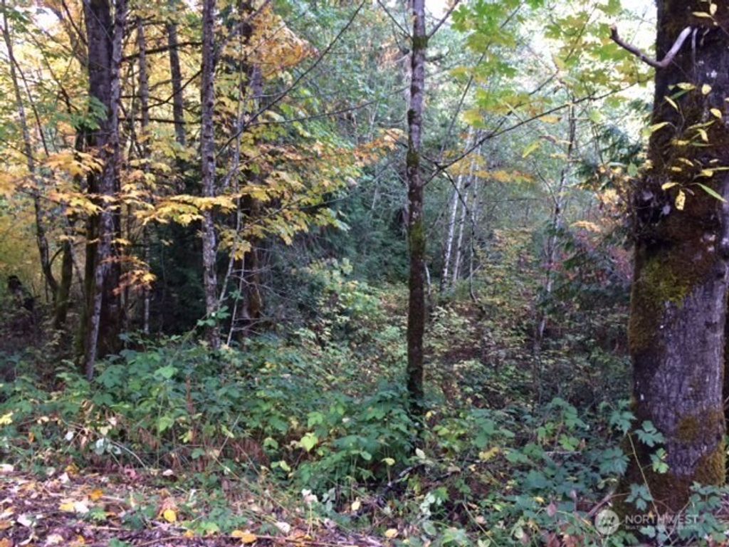 Photo of 25116 SE 146th Street, Issaquah, WA 98027 (MLS # 2509596)