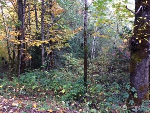 Photo of 25116 SE 146th Street, Issaquah, WA 98027 (MLS # 2509596)