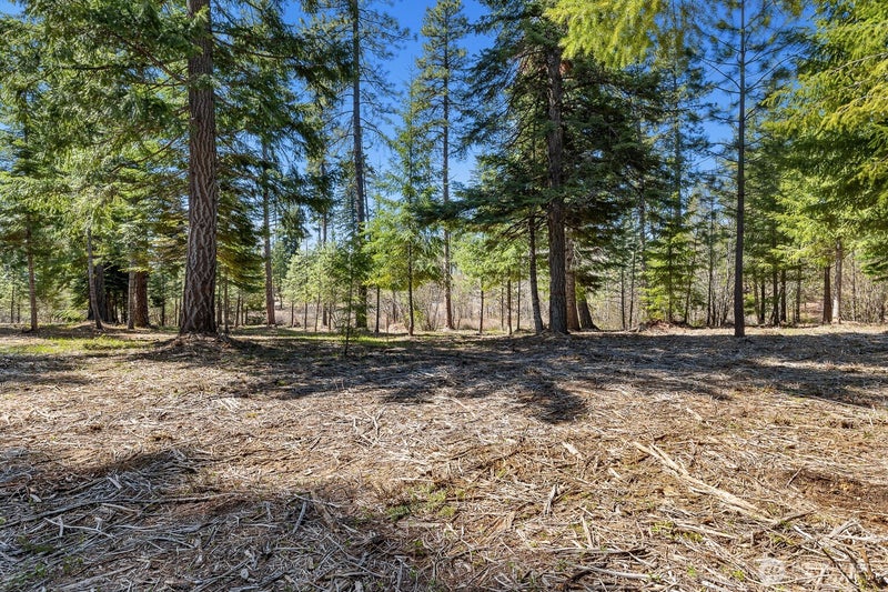 15 Old Grove Trail