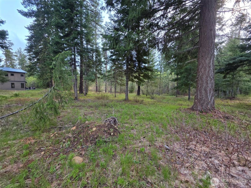 15 Old Grove Trail