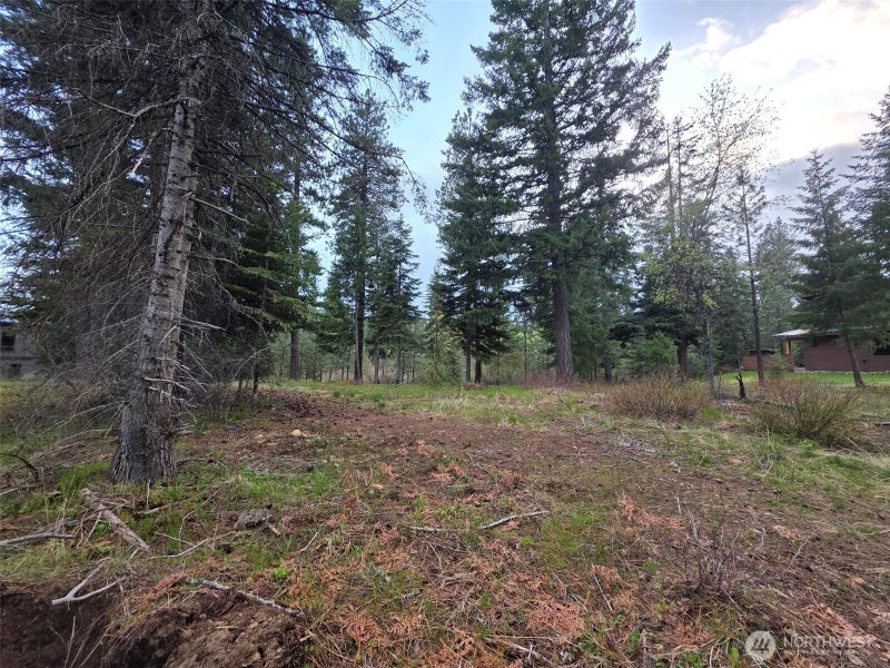 15 Old Grove Trail