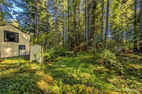 A home in Packwood