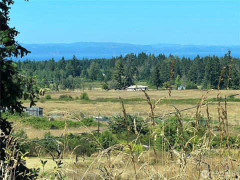 Photo of 262 Laird Road, Port Angeles, WA 98363 (MLS # 2573682)
