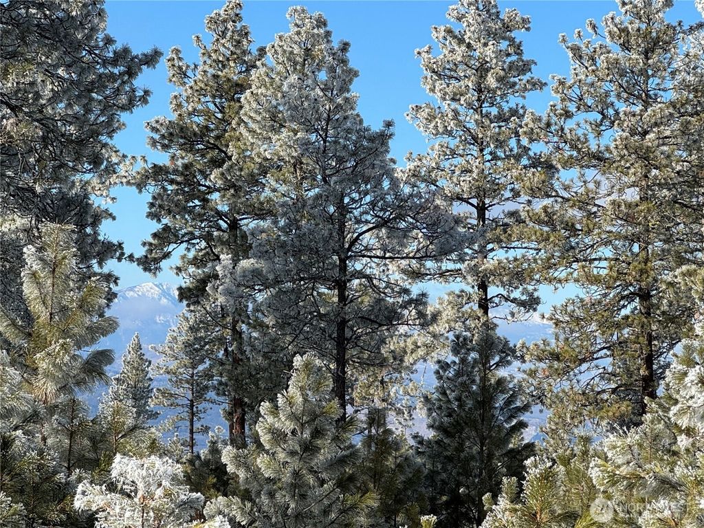 Photo of 0 TBD Cartwright Drive, Tonasket, WA 98855 (MLS # 2470391)