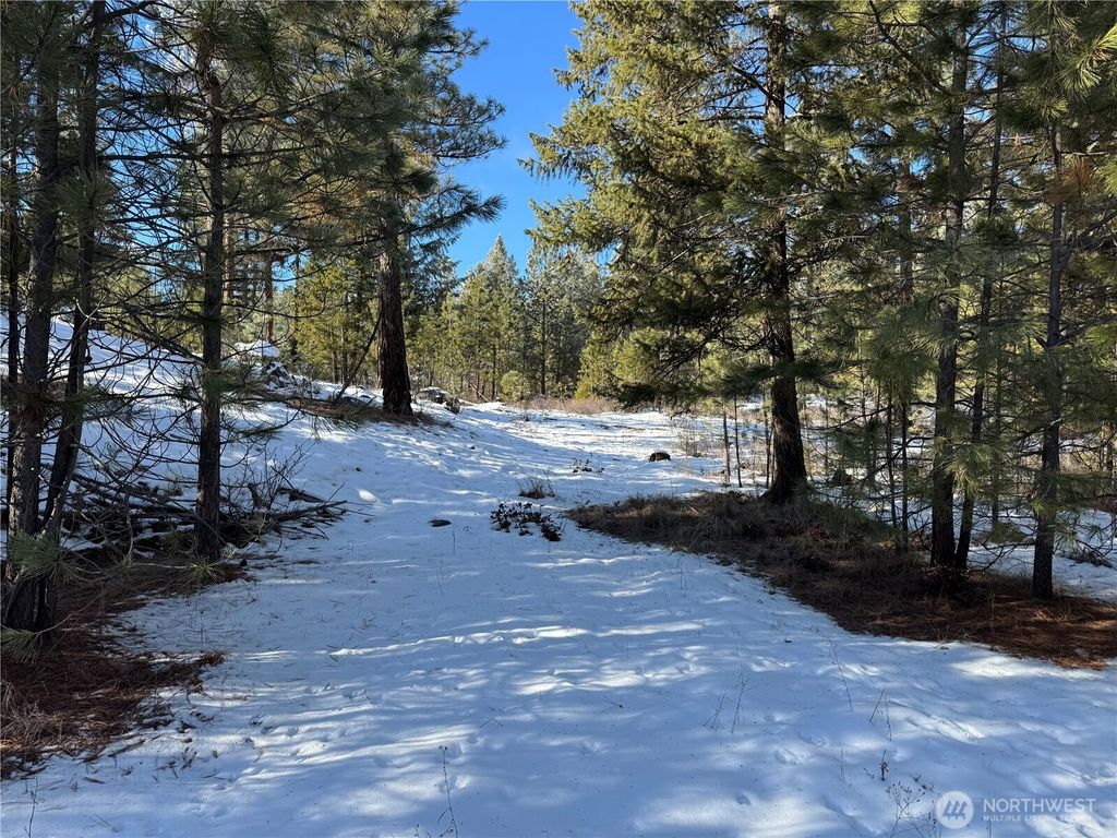 Photo of 0 TBD Cartwright Drive, Tonasket, WA 98855 (MLS # 2470391)