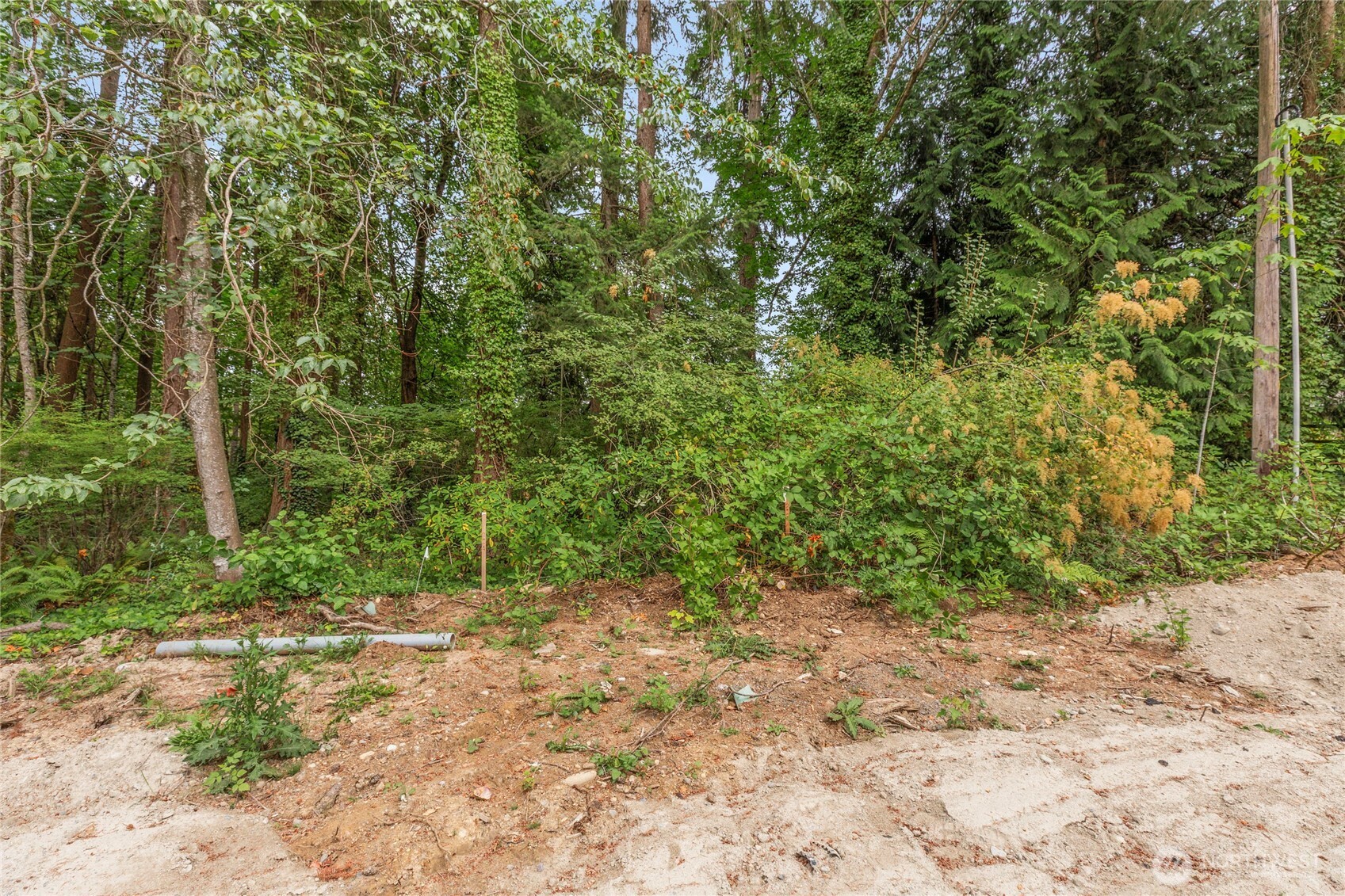 1234 Woodinville Duvall Road