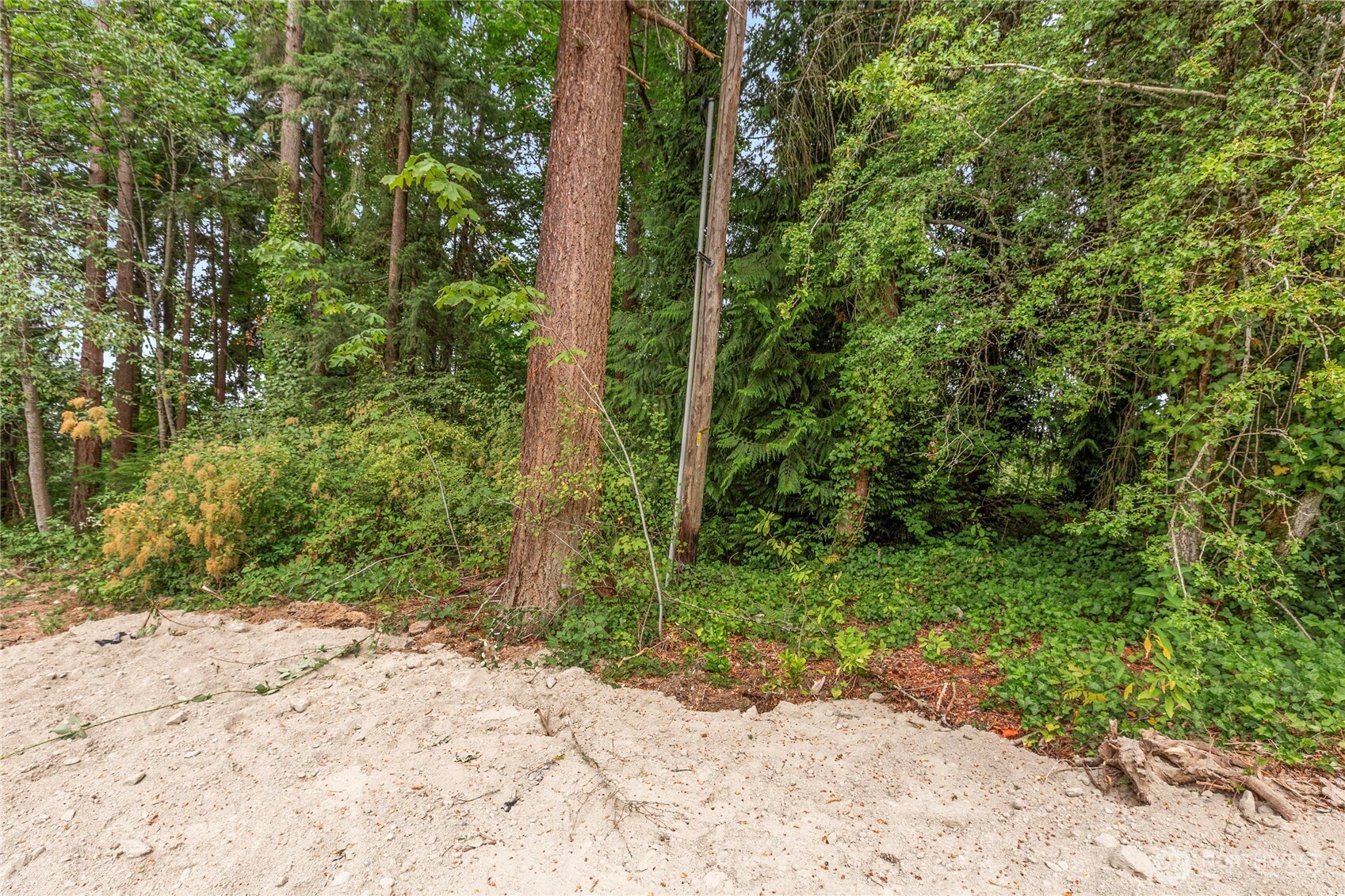 1234 Woodinville Duvall Road