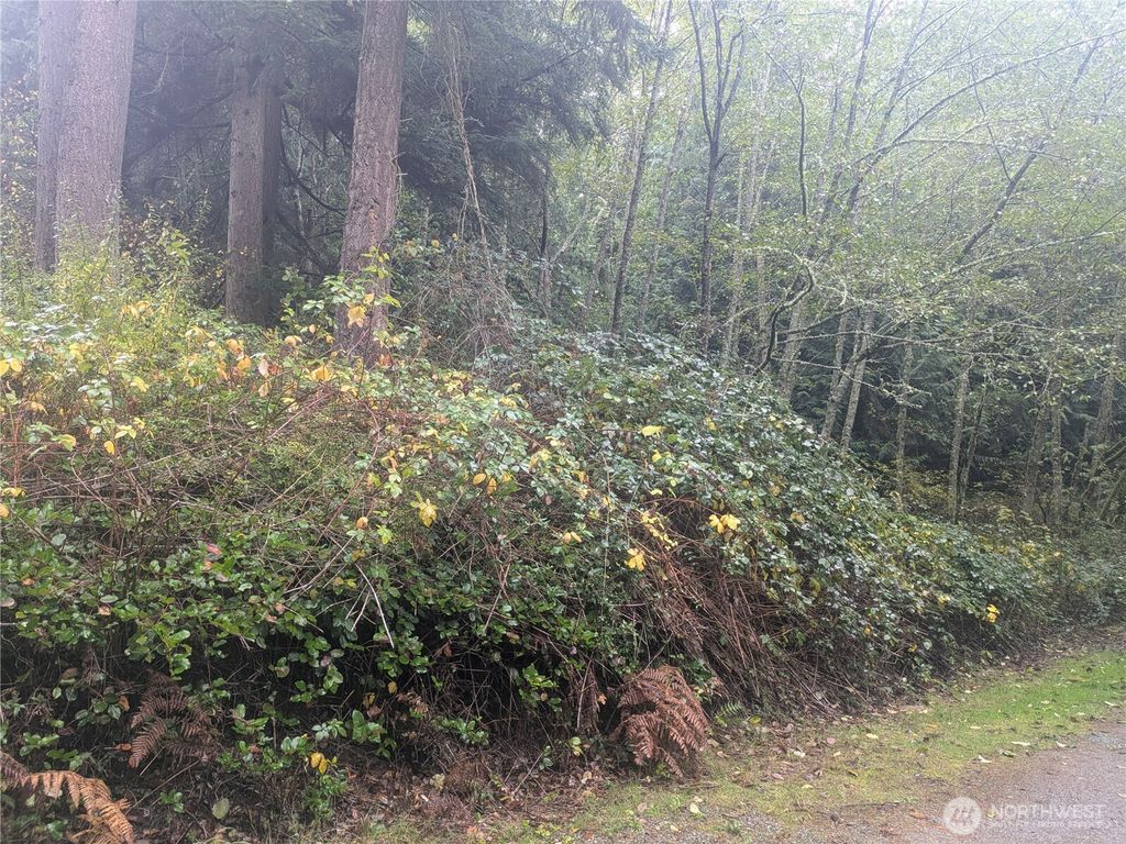 Photo of 0 XXX Jewett Road, Clinton, WA 98236 (MLS # 2456946)