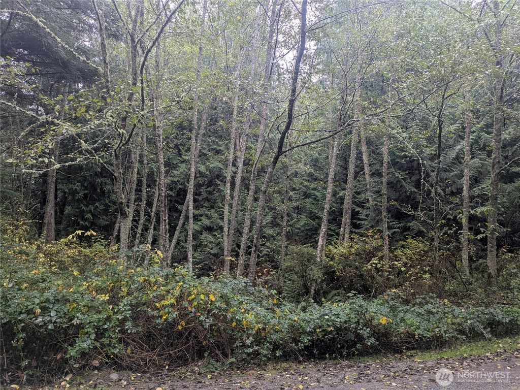Photo of 0 XXX Jewett Road, Clinton, WA 98236 (MLS # 2456946)