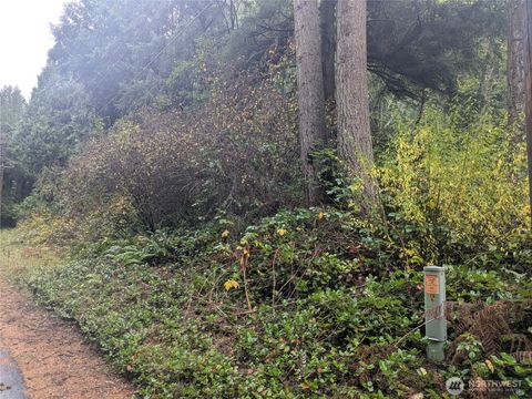 Photo of 0 XXX Jewett Road, Clinton, WA 98236 (MLS # 2456946)