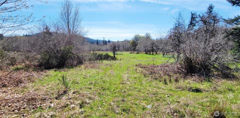Photo of 0 W Cloquallum Road, Shelton, WA 98584 (MLS # 2530648)