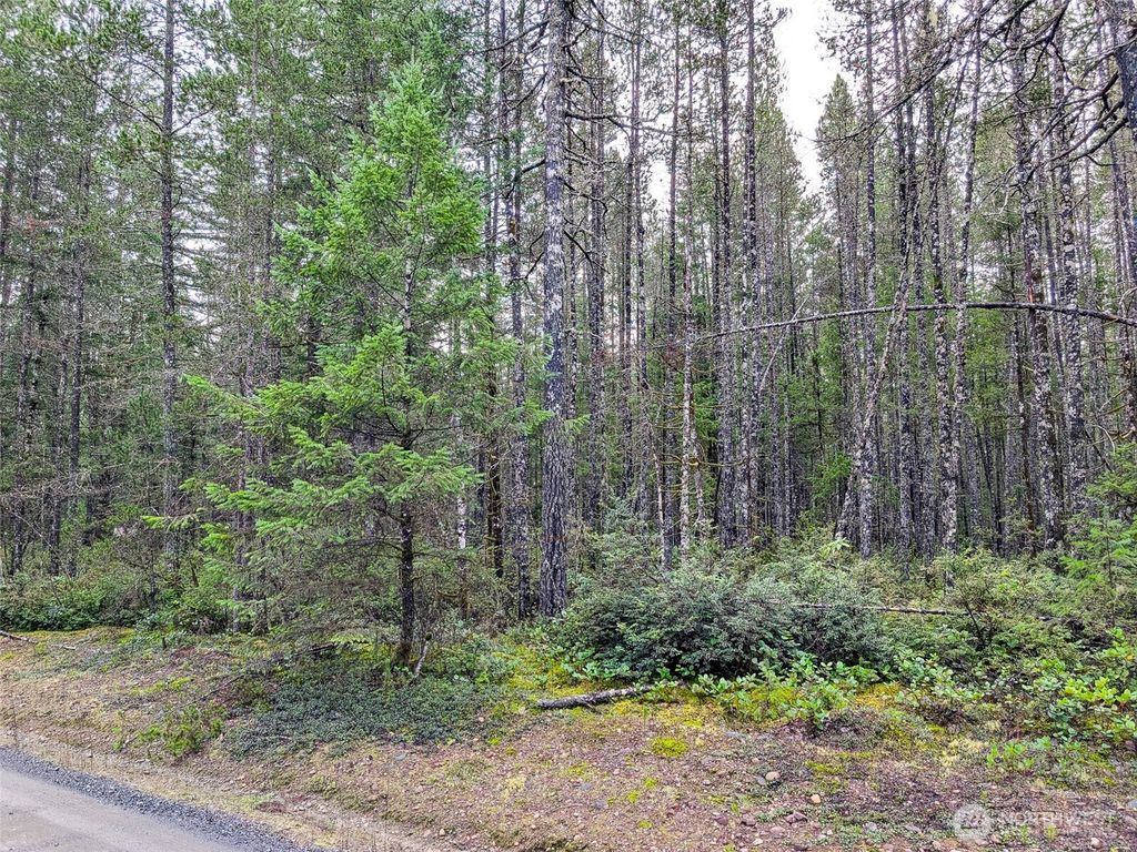 Photo of 0 TR42 NE Sides Way, Belfair, WA 98528 (MLS # 2466504)