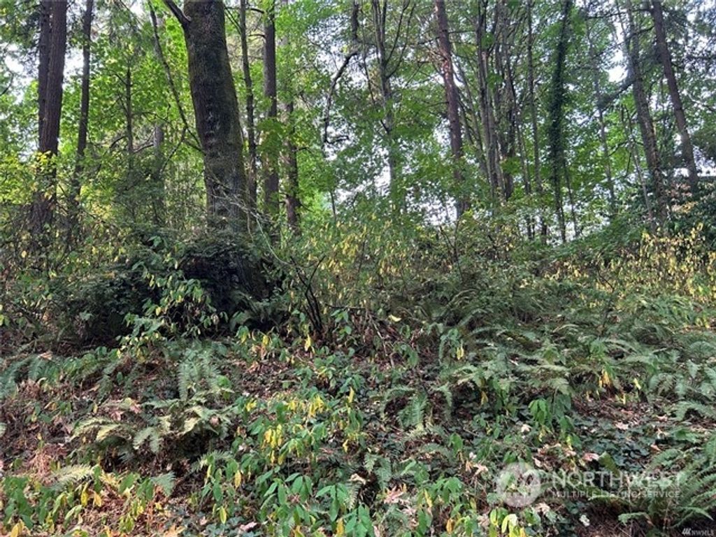 Photo of 5306 SW 315th Street, Federal Way, WA 98023 (MLS # 2201609)