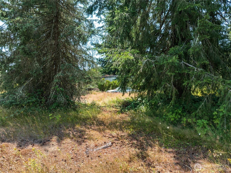 21115 Renton Maple Valley Road