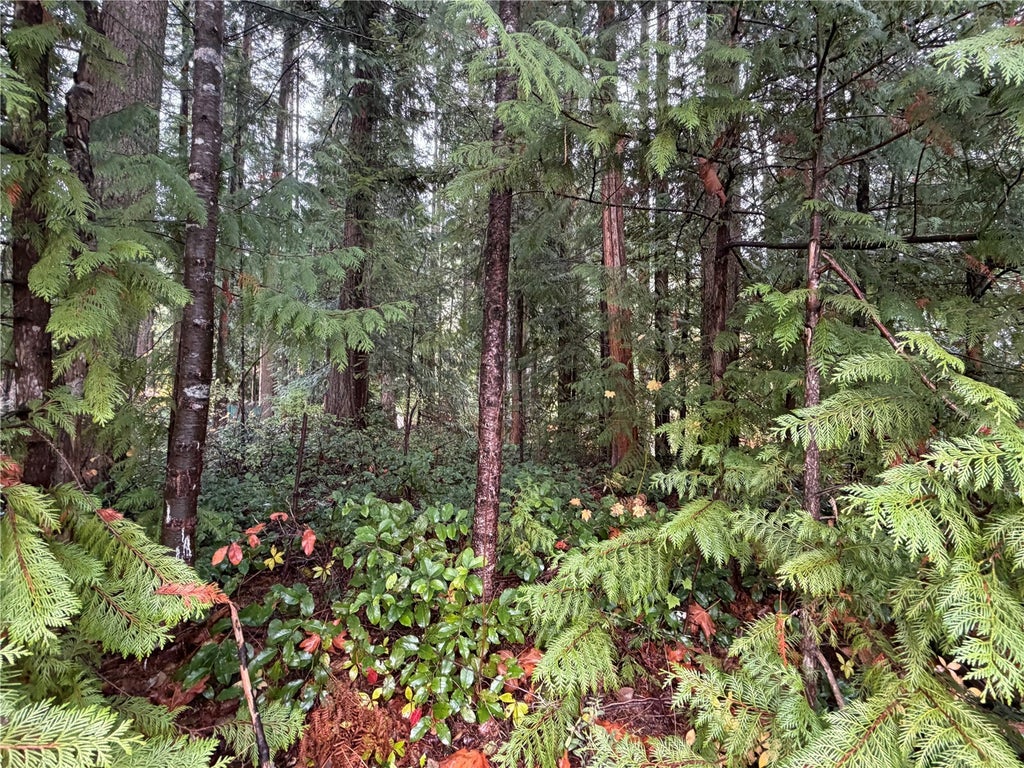 Photo of 7850 Little Big Horn, Maple Falls, WA 98266 (MLS # 2598319)