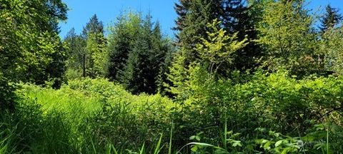 Photo of 825 99th Avenue SE, Lake Stevens, WA 98258 (MLS # 2370470)