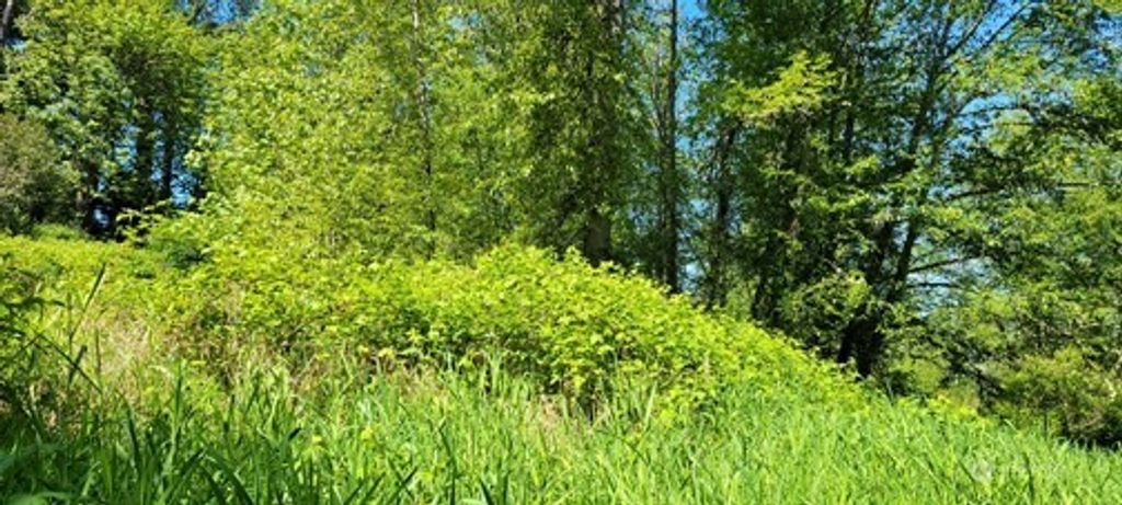 Photo of 825 99th Avenue SE, Lake Stevens, WA 98258 (MLS # 2370470)