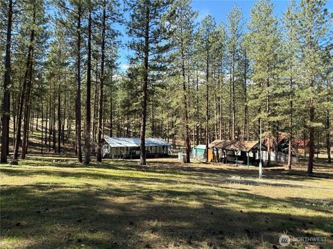 Photo of 87 Larkspur Drive, Winthrop, WA 98862 (MLS # 2503481)