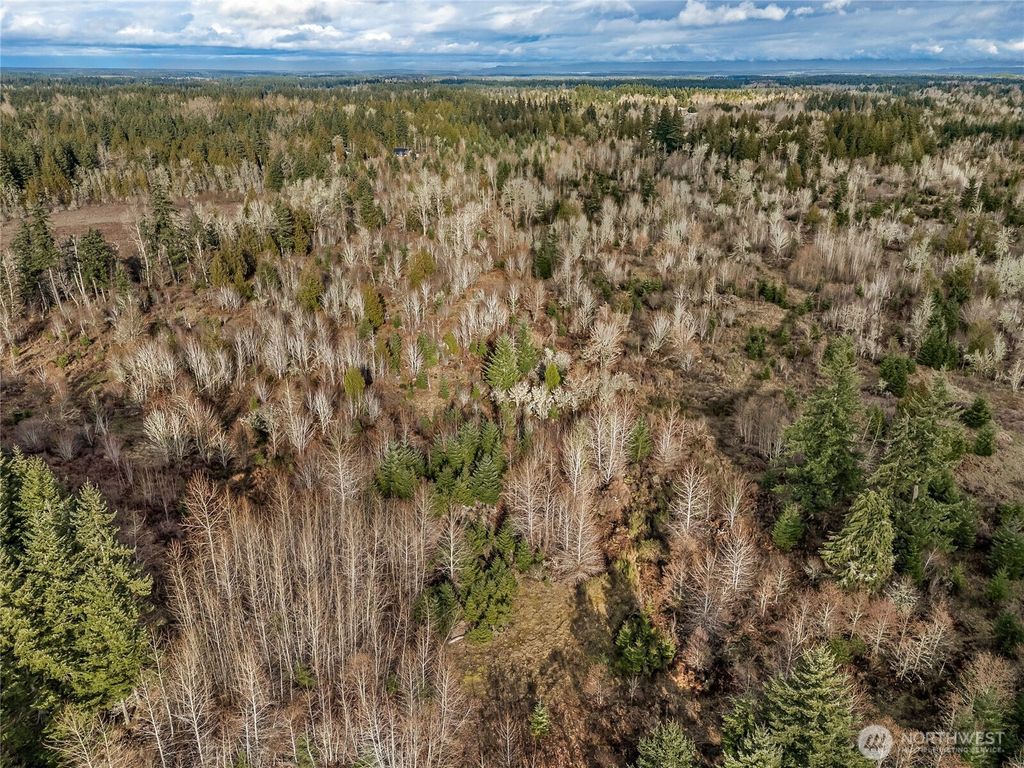 Photo of 15301 Mcintosh Valley Lane SE, Yelm, WA 98597 (MLS # 2486034)