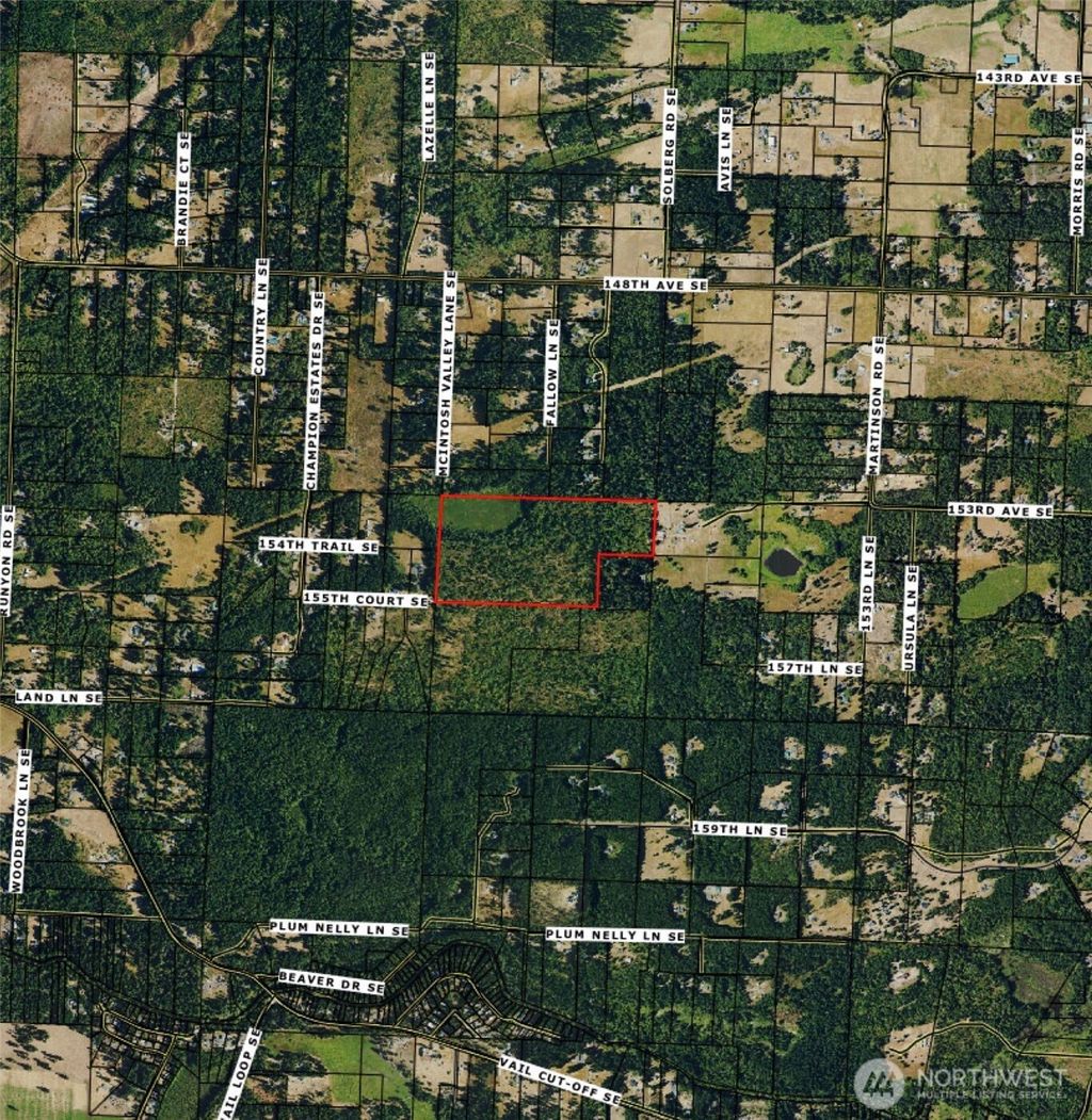 Photo of 15301 Mcintosh Valley Lane SE, Yelm, WA 98597 (MLS # 2486034)