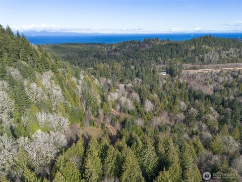 Photo of 9999 Sponberg Lane, Port Angeles, WA 98363 (MLS # 2478463)
