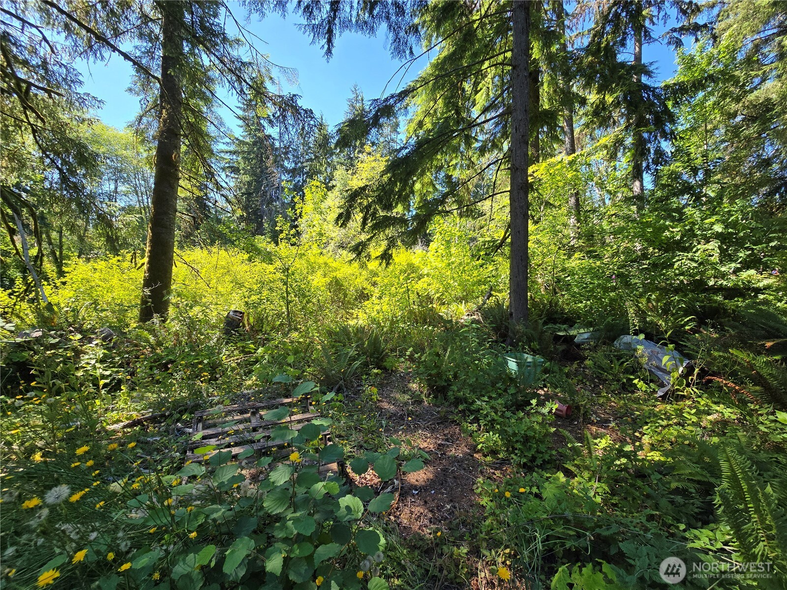351 W Haven Drive